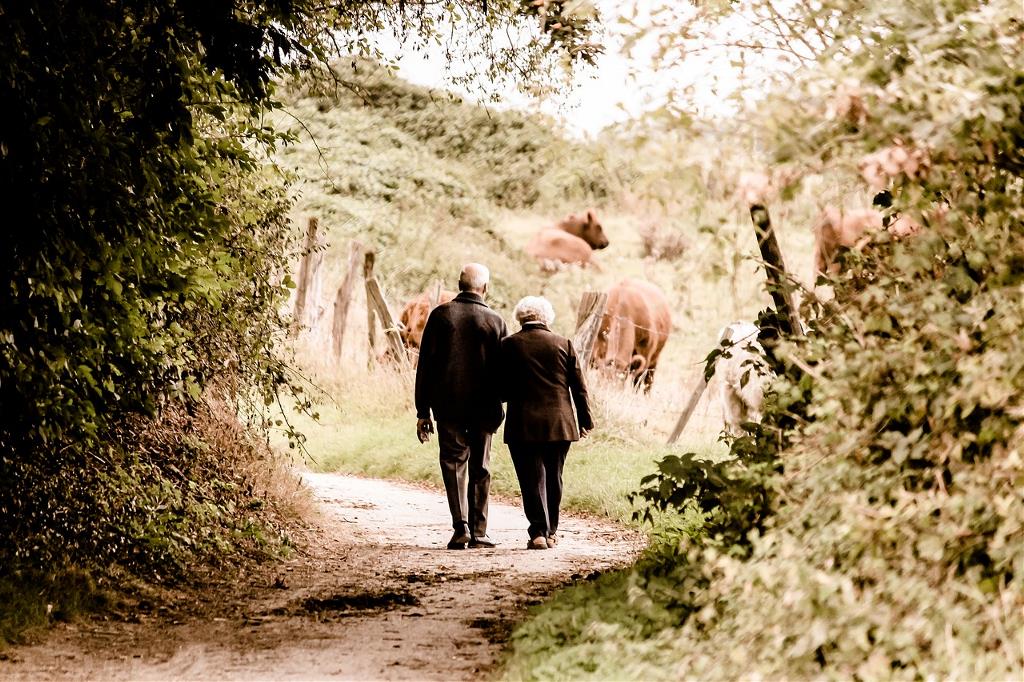 Elderly couple on walk in woods