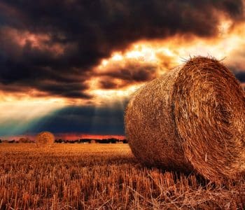 hay bale in field with overcast sky