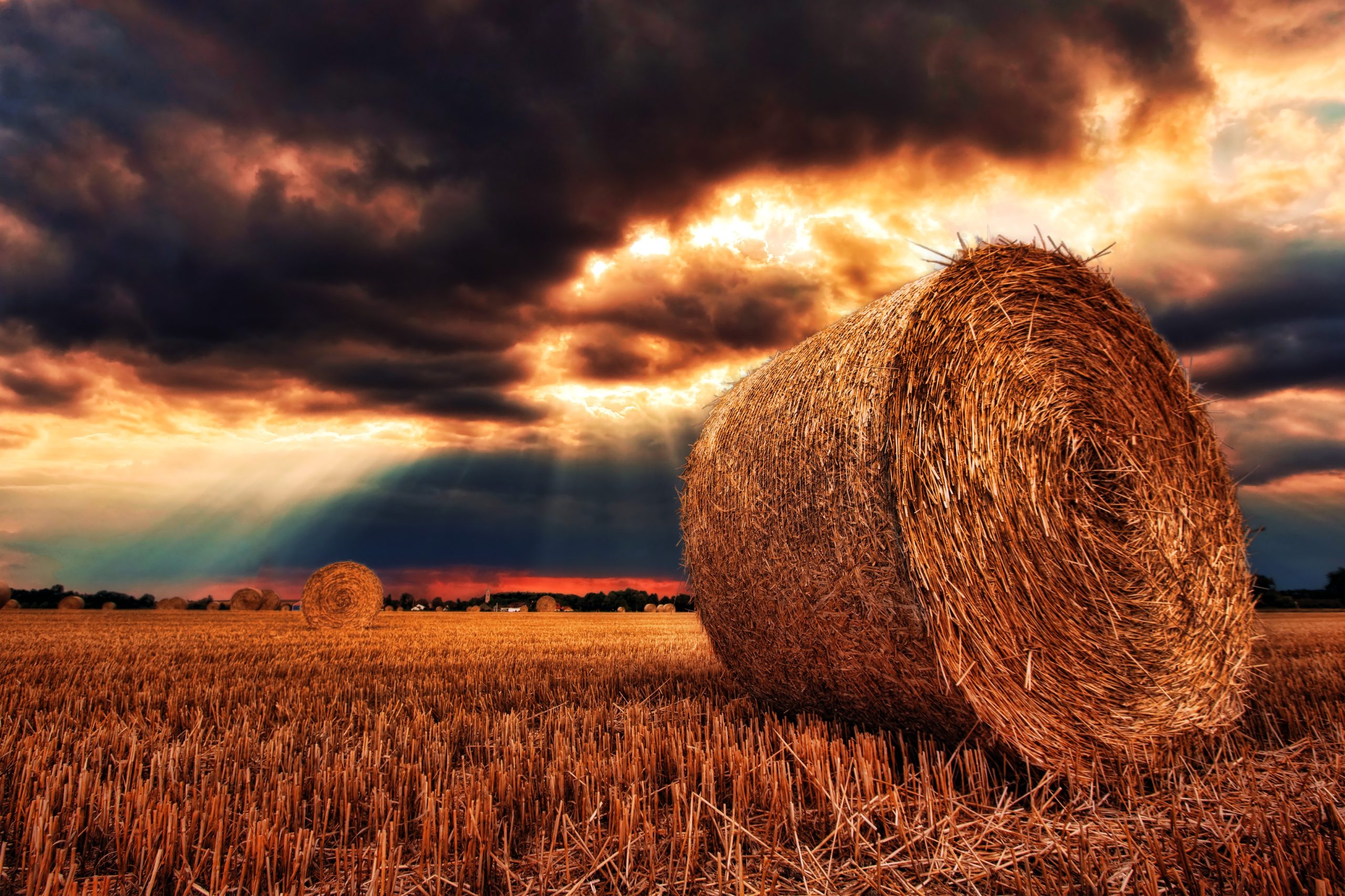 hay bale in field with overcast sky