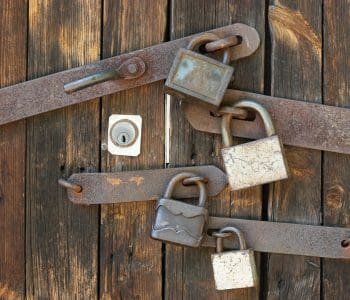 Several padlocks and rusted locks on a solid wooden door