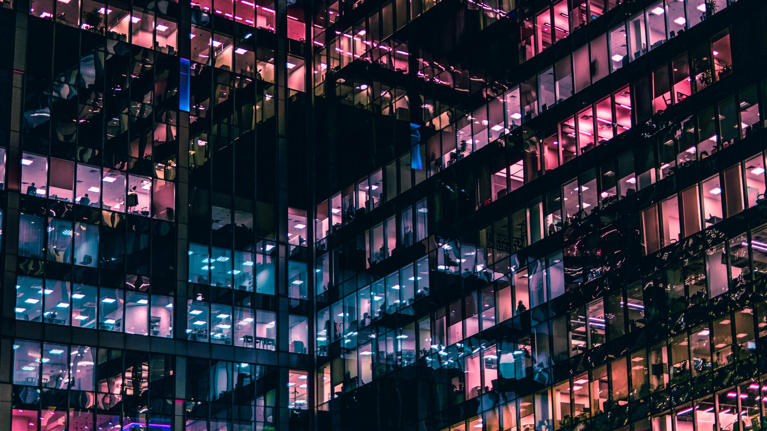 Windows of office blocks with workers sat in them at night